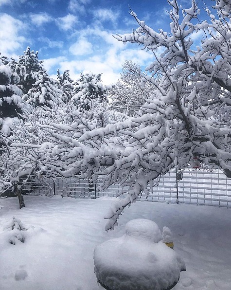 Utah, more snowww.jpg